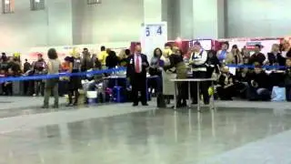 Кобели открытый (4). Россия 2011