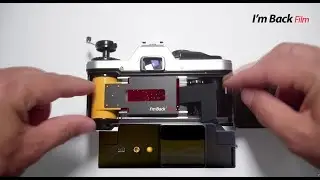 I'm Back35 and MF - digital back for analog cameras