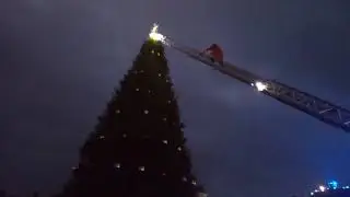 Раз,два,три! Ёлочка гори!