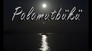 Datça - Palamutbükü (11 Ekim 2019)