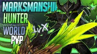 Soul NEEDS HELP |  Marksmanship Hunter | 10.1.5 World PVP