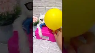 FUNNY HAPPY BIRTHDAY BALLOON POPPING#balloons#balloon#shorts#viralshorts#asmr#balon
