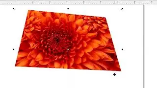 5.13. Mengolah Bitmap: 3D Rotate
