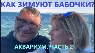 С Виталей отдыхаем в г. Монтерей Калифорния. ПРИЯТНОГО ПРОСМОТРА.