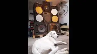 TEKNOTRIBE MIX Freetekno DKMPOS