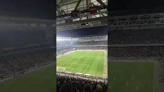 Fenerbahçe Taraftarları 
