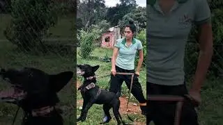 A MARCAÇÃO CORRETA