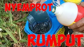 CARA MENYEMPROT RUMPUT DENGAN BENAR