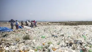 Punta de Manabique is Covered in Plastic