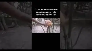 Главное не пердануть, а то услышат 