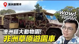 澳洲超大動物園！有非洲草原遊園車！【狸貓】威勒比動物園 墨爾本