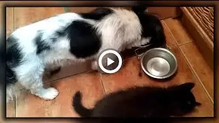 Давайте жить дружно! Позитив для друзей