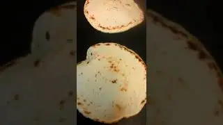 K ricas mis tortillas estilo jalisco mex.