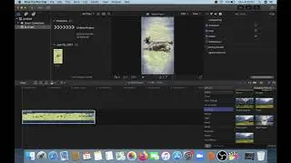 FCP effects overview