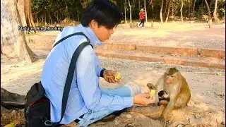 PaPa Song help feeding Belley and baby Betty, Extra food for Belley take care  baby Betty
