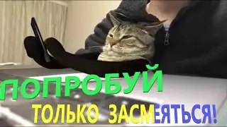 10 МИНУТ СМЕХА ДО СЛЕЗ | ЛУЧШИЕ ПРИКОЛЫ АВГУСТ 2020 | РЖАКА | УГАР | ЧУДИКИ ИЗ СОЦСЕТЕЙ | КОШКИ |#21