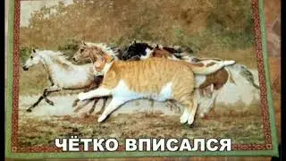 Приколы интера 2018!