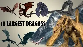 10 Largest Dragons in the Universe