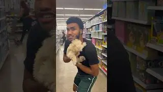 George Brings A Dog Inside Walmart 😭😭