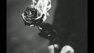 ham thy Tum thy....| Beautiful Poetry| Dard e Dil Poetry Status
