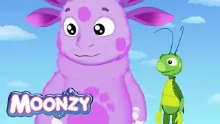 Moonzy 🍉 Watermelon 🍉 Episode 29 | Cartoons for kids