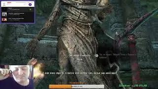 НА ПРОСТОРАХ СКАЙРИМА