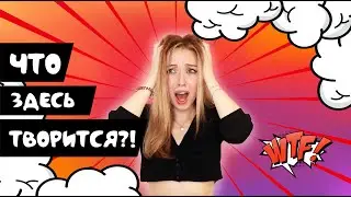 WHAT THE…week?! | обозрела новости (30.09 – 08.10)