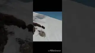 Медведи скалолазы