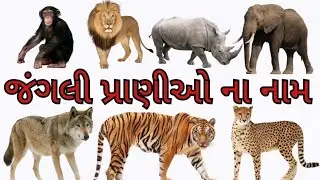 જંગલી પ્રાણીઓ ના નામ અને અવાજ / Name of wild Animals with Live Example