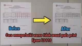 How to Fix Wrong Colors on Epson L3110 Printer || Color Error || Abnormal Colors