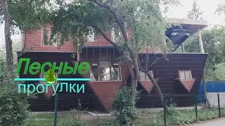 Поездка в Омск, лето 2022