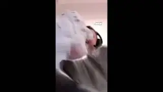 Армия мальков папича #shorts #шортс #папич