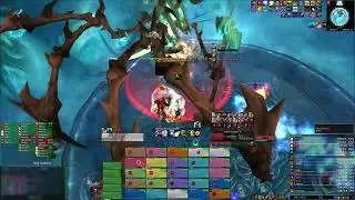 Lord Marrowgar 25HM Input-Auberdine Dpriest PoV