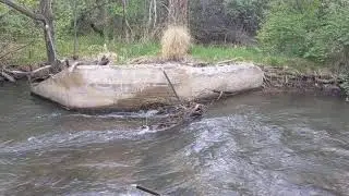 Acequia in Taos (Diversion)