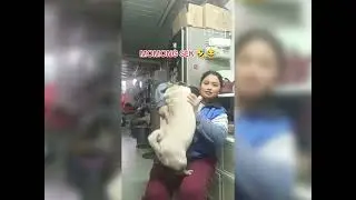 MOMONG DOGGY GENDUT KESAYANGAN || NJALUK MIMIEXK
