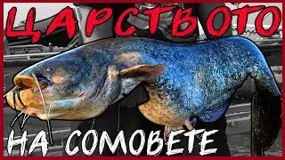 Царството на сомовете - СОМ НА ТРОЛИНГ