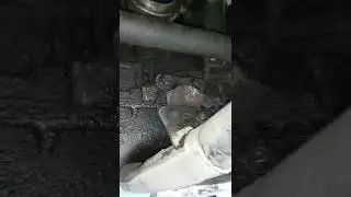хонда шатл