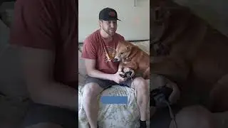 Chelsea’s not just a player, she’s the MVP of lap cuddles! #pets