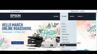 How to Find Out the Type of Ink that is Suitable for Epson Printers