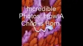 Incredible Photos: How A Child is Born.