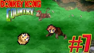 Donkey Kong Country - Part 7 - It'll Bring You Joy