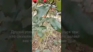 #втоп