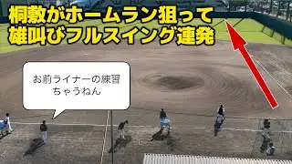 【HRを打つ快感】滅多に打席に立たない桐敷拓馬がホームラン狙って雄叫び上げながらフルスイング連発！【阪神秋季キャンプ】