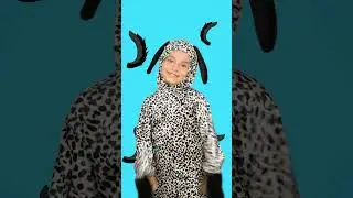 Kuyruğım Yok - 