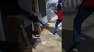 Delivery guy gets CHASED by dog😳#dogs #shorts