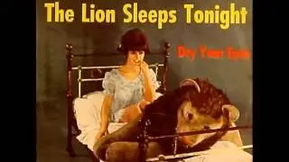 Tokens - The Lions Sleeps Tonight