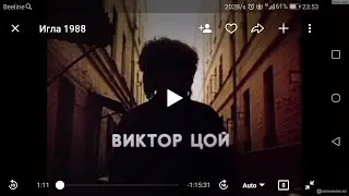 Игла Цоя: По следам легенды