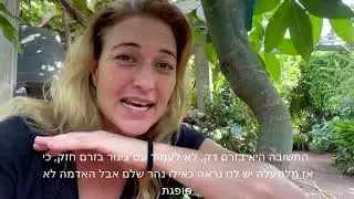 משתלת ולך-איך משקים עץ כשאין לנו מערכת השקיה אוטומטית