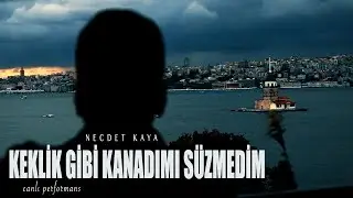 Necdet Kaya - Keklik Gibi Kanadımı Süzmedim (Akustik)