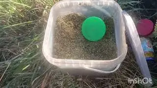 Общество,это вам не платник.